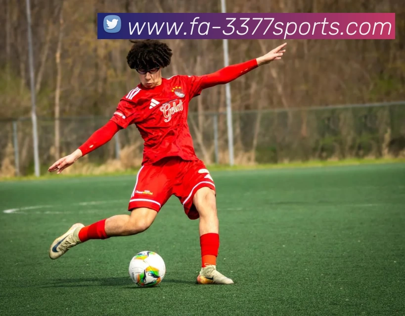 3377体育品牌故事