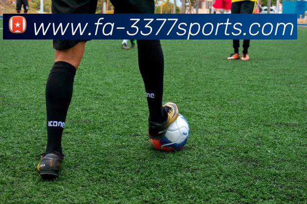 3377体育服务体系